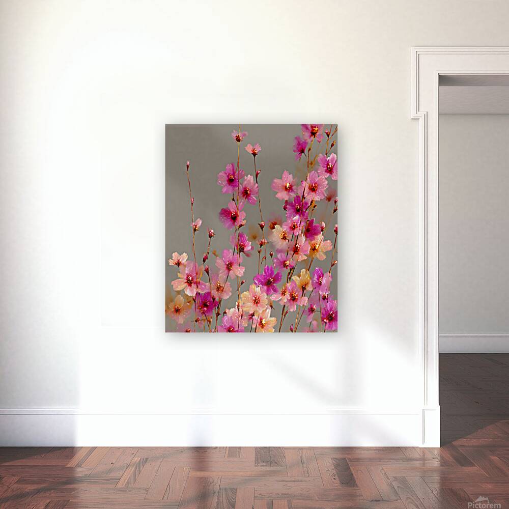 Eveil Des Petales - Awakening Of Petals - Modern Floral Art Prints Reproduction