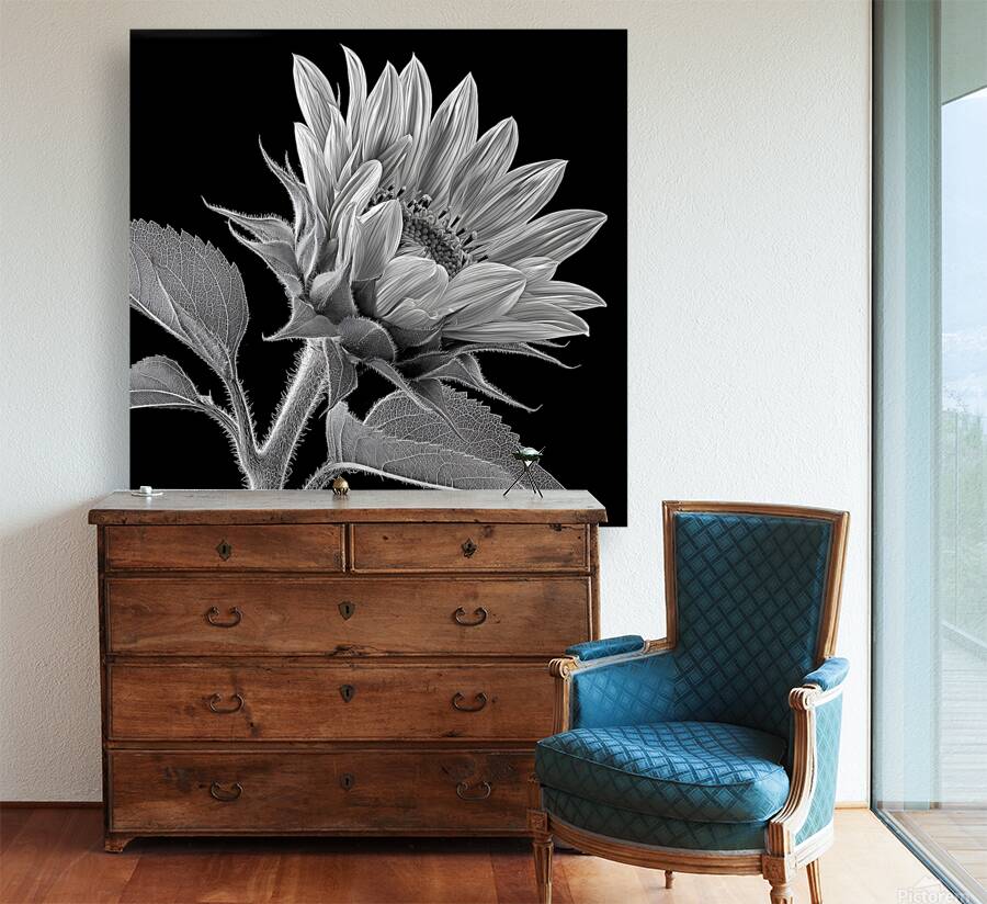 Sunflower Selfie 8 - Sunflower Portrait Art Prints Reproduction