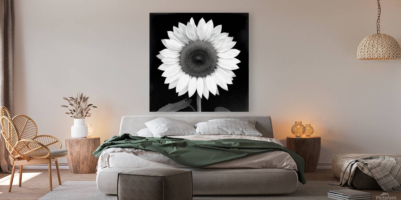 Sunflower Selfie 10 - Sunflower Portrait Art Prints Reproduction