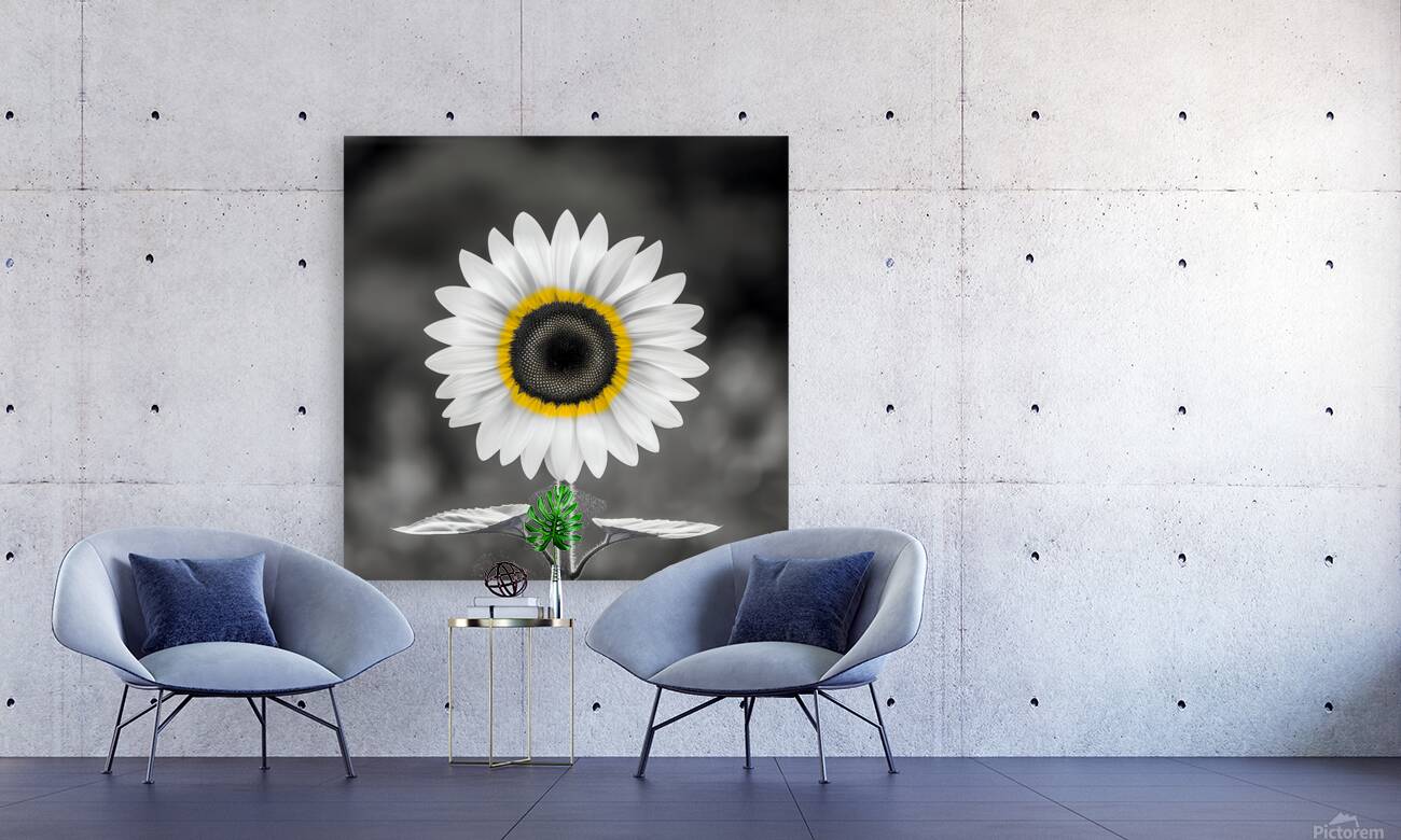 Sunflower Selfie 12 - Sunflower Portrait Art Prints Reproduction