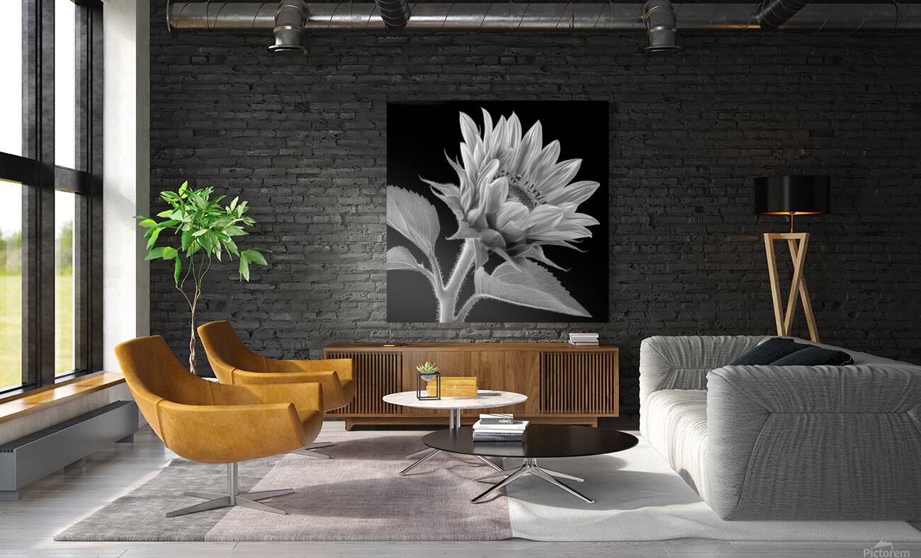 Sunflower Selfie 14 - Sunflower Portrait Art Prints Reproduction