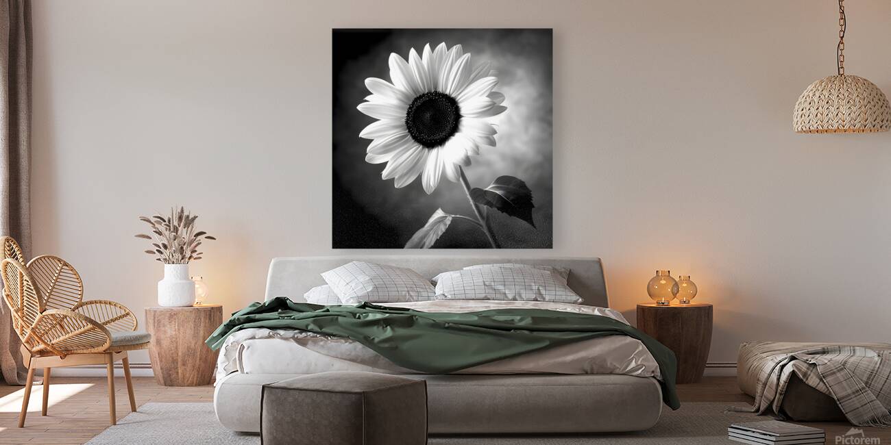 Sunflower Selfie 21 - Sunflower Portrait Art Prints Reproduction