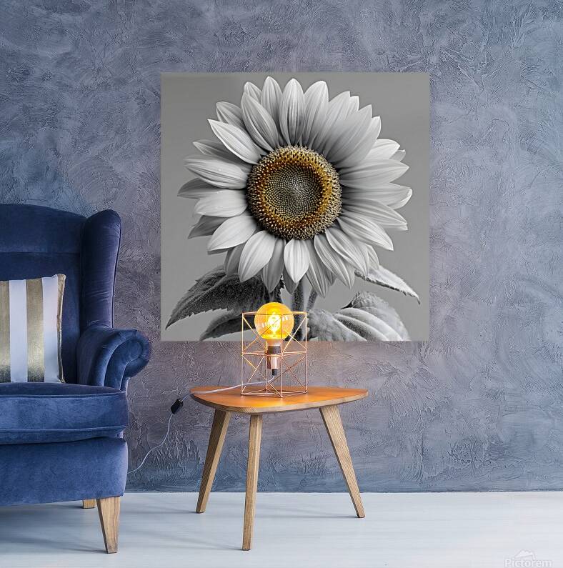 Sunflower Selfie 26 - Sunflower Portrait Art Prints Reproduction
