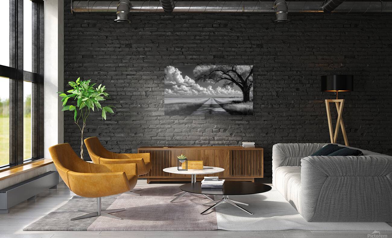 Prairie Road - Monochrome Landscape Art Prints Reproduction