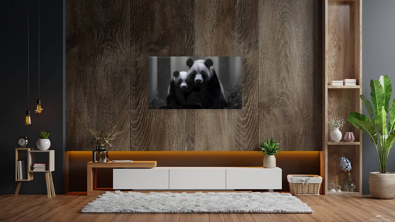 Stealth Mode - Bear Portrait Art Prints Reproduction