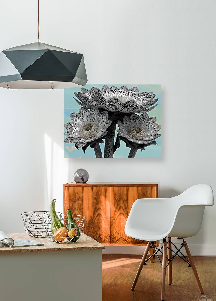 Lace Petal Trio – Modern Lotus Bloom Art Print Reproduction