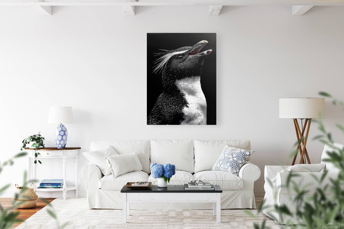 Cry of the Rockhopper – Modern Wildlife Print Reproduction