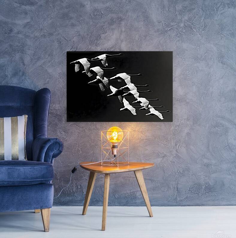 Flight Code – Geese Formation Print Reproduction