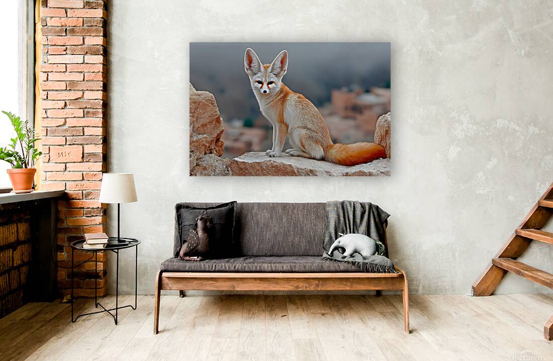 Sand Whisper – Fennec Fox Print Reproduction