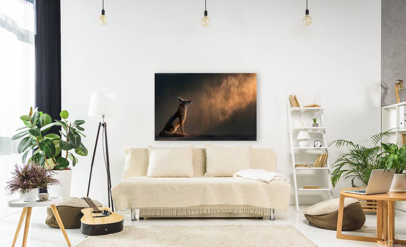 Breath of Dawn – Desert Fox Print Reproduction