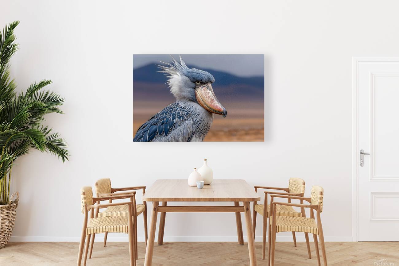 Iron Beak – Shoebill Stork Print Reproduction