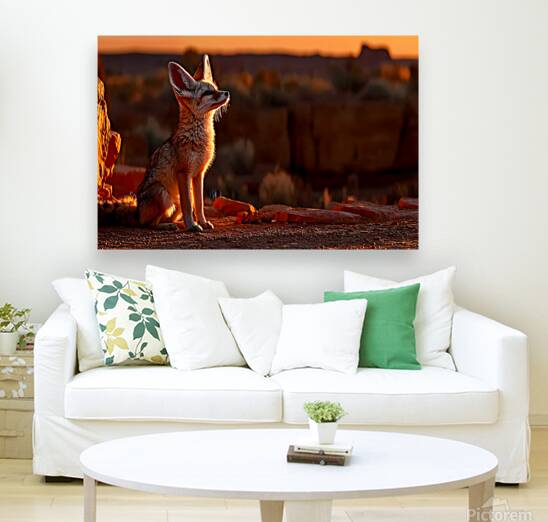Dustwalker – Fennec Fox Print Reproduction