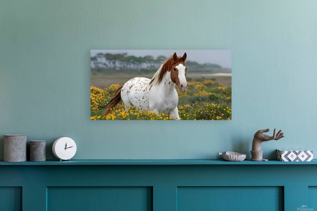 Wild Blossom – Spotted Appaloosa Horse Print Reproduction