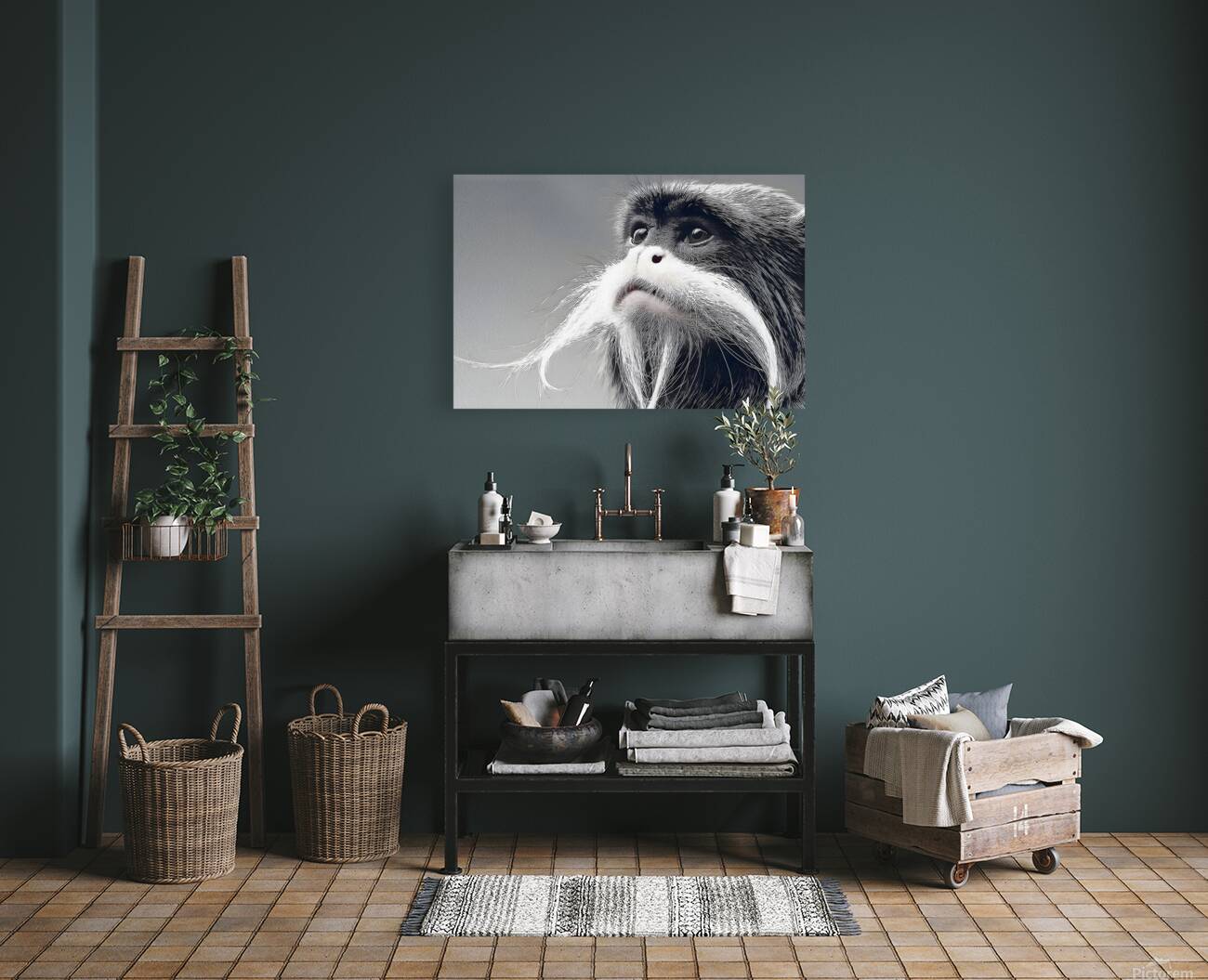 Emperor’s Gaze – Emperor Tamarin Monkey Portrait Print Reproduction