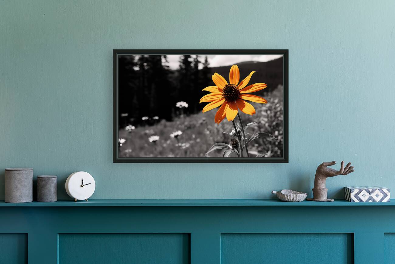 Wild Solitude – Orange Flower in Mountain Meadow Print Reproduction