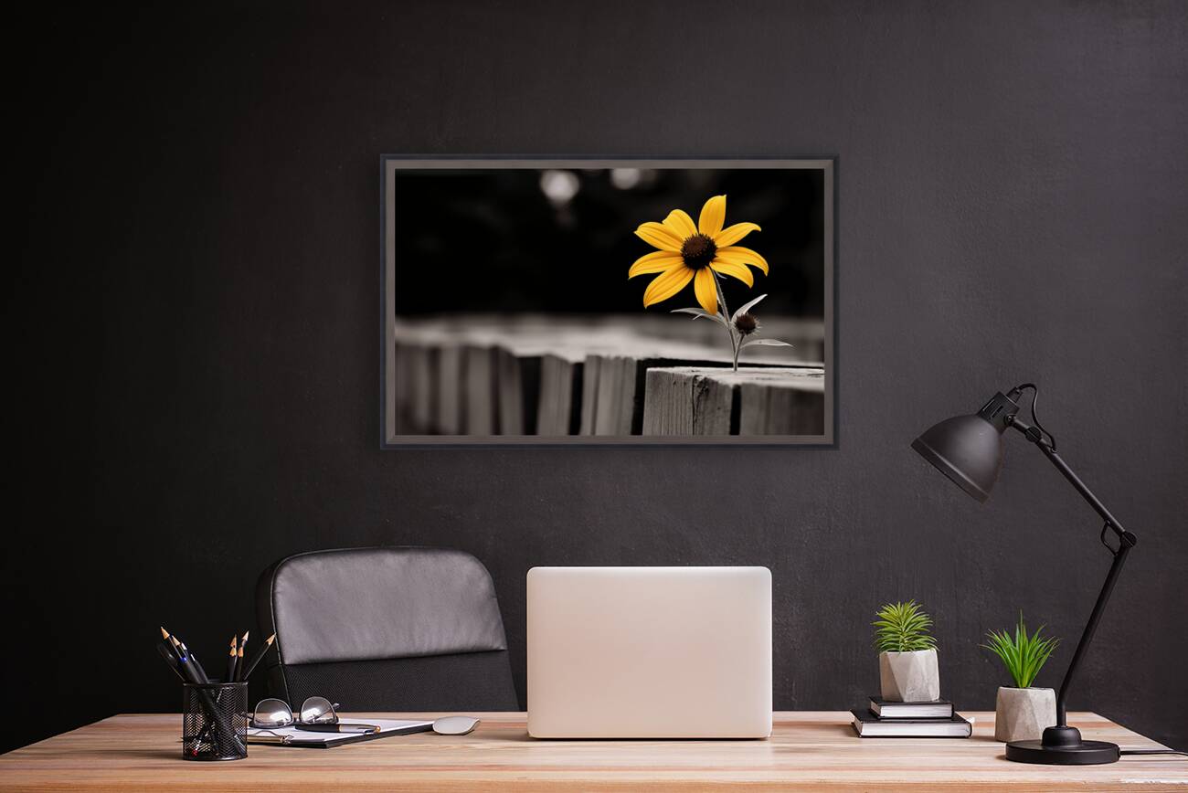 Defiant Bloom – Yellow Flower on Fence Print Reproduction