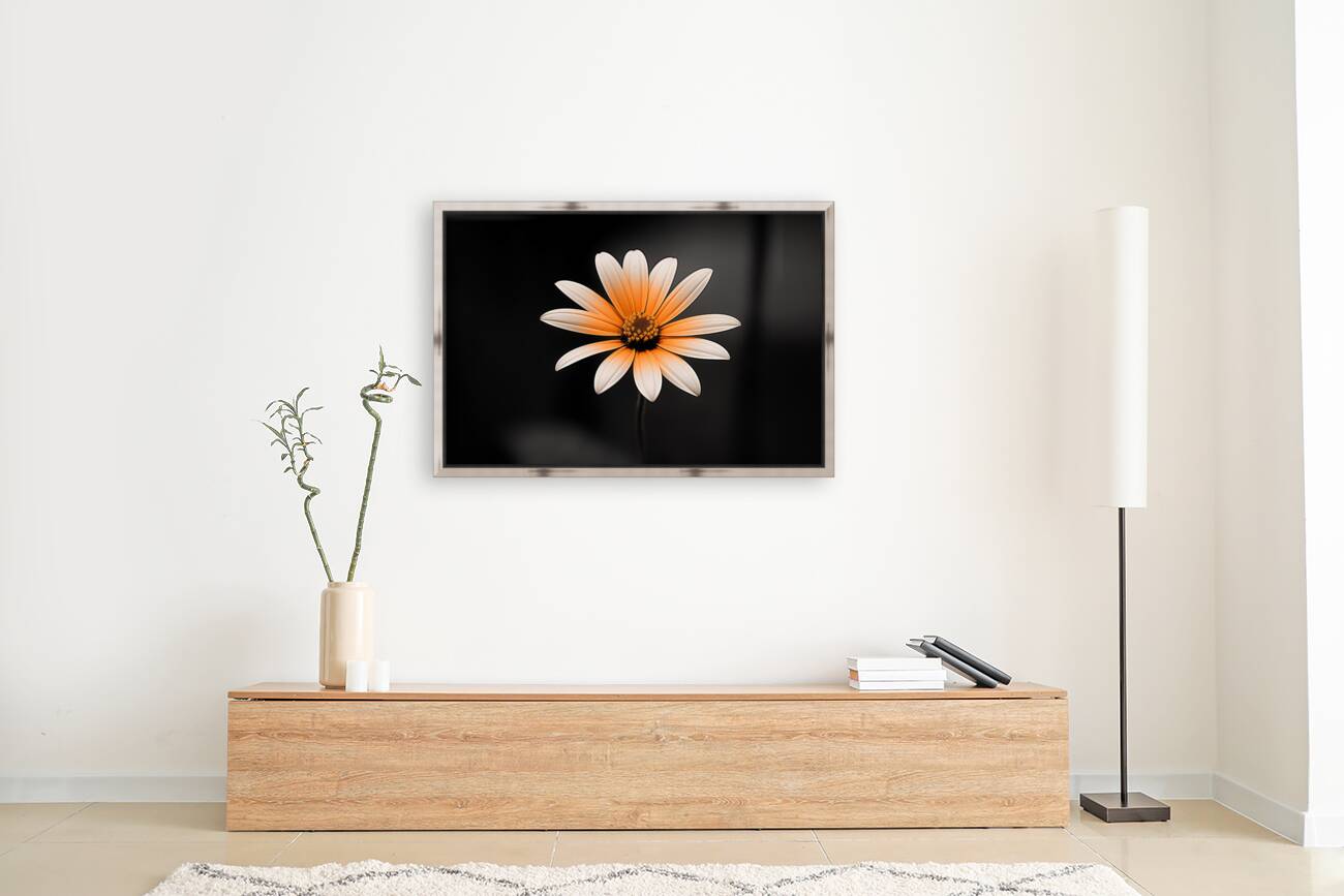 Amber Echo – Warm Toned Floral Minimalist Print Reproduction