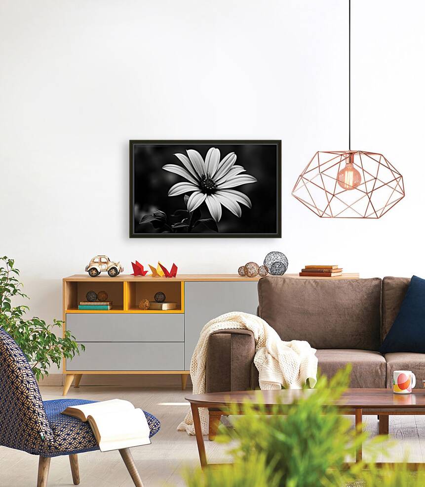 Twilight Petals – Black and White Floral Portrait Reproduction