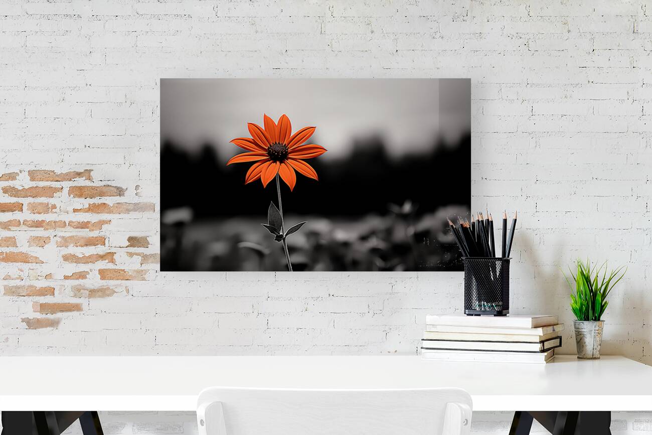 Solitary Flame – Orange Daisy in the Dark Print Reproduction