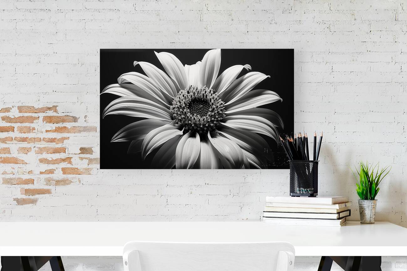 Shadow Bloom – Black and White Sunflower Portrait Print Reproduction