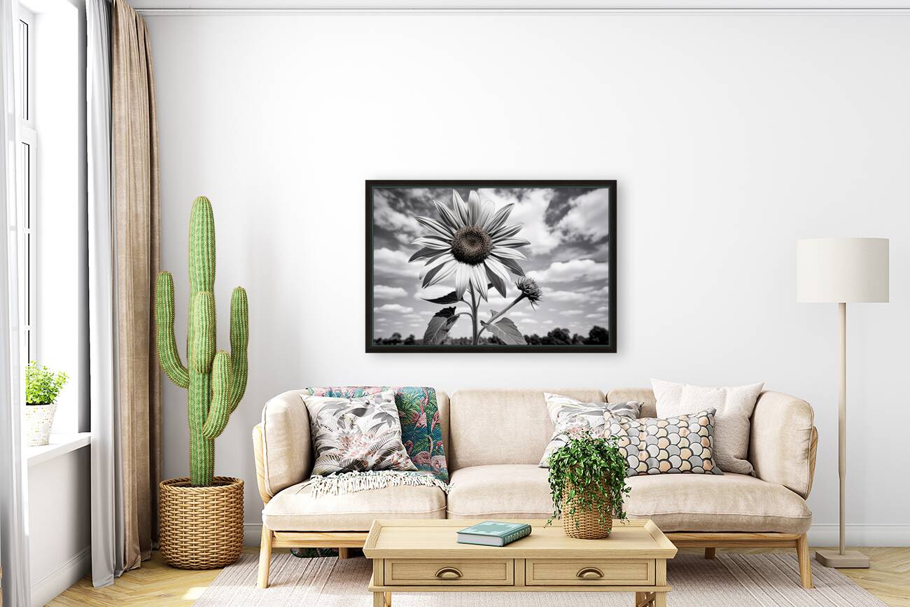 Skyward – Monochrome Sunflower Landscape Print Reproduction