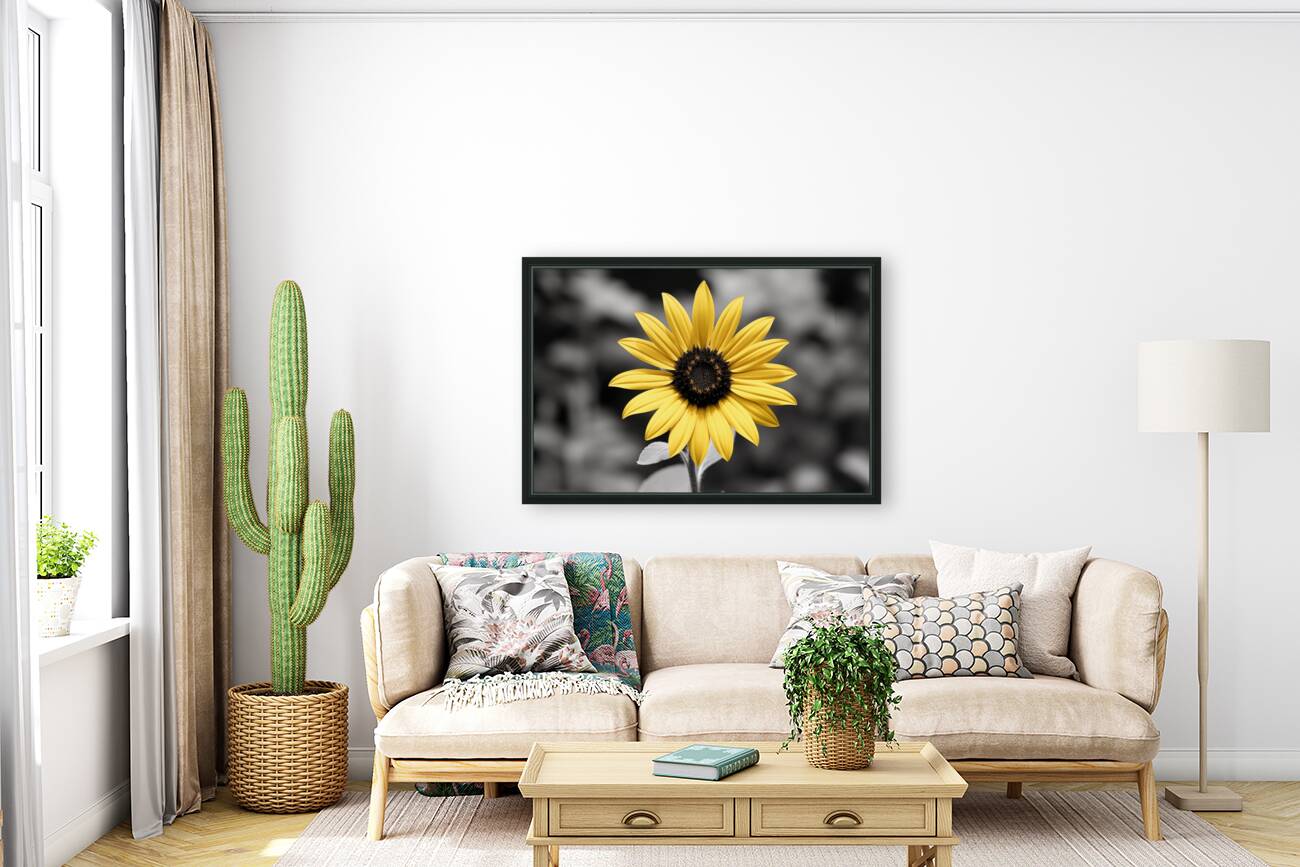 Golden Solitude – Single Yellow Daisy Print Reproduction
