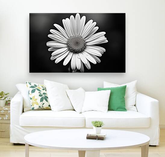 Monochrome Majesty – Sunflower in Black and White Print Reproduction