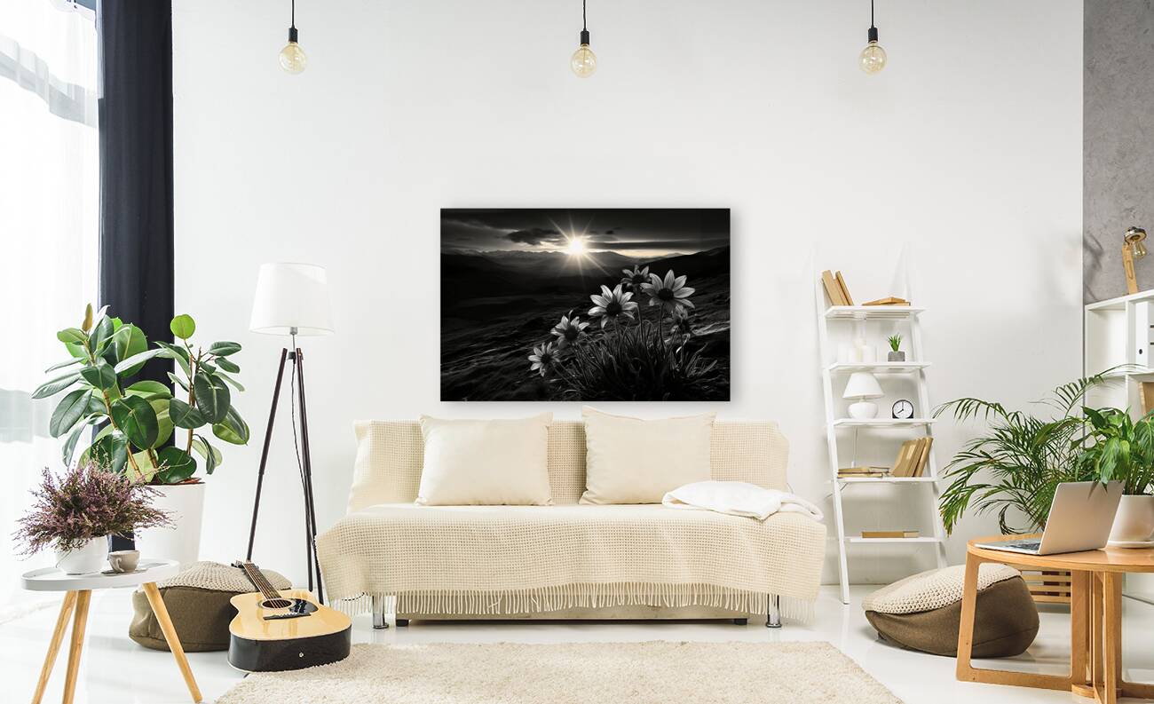 Twilight Bloom – Sunflowers at Dusk Print Reproduction