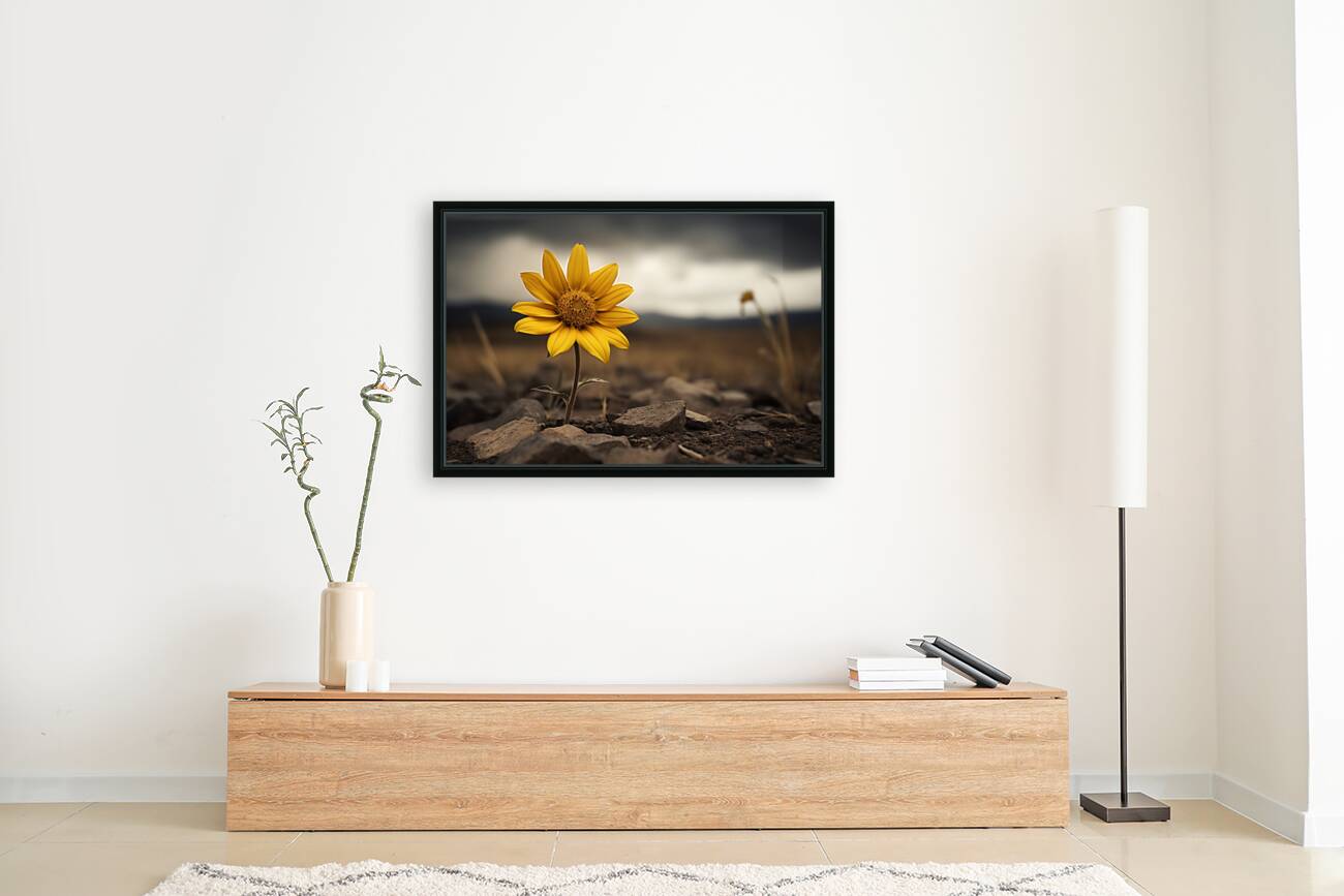 Golden Resolve – Sunflower in Sepia Field Print Reproduction