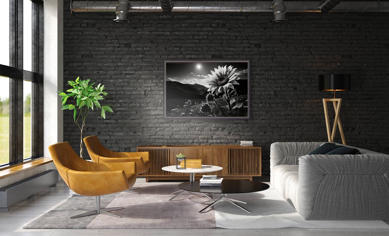 Moonlit Bloom – Night Flower Monochrome Print Reproduction