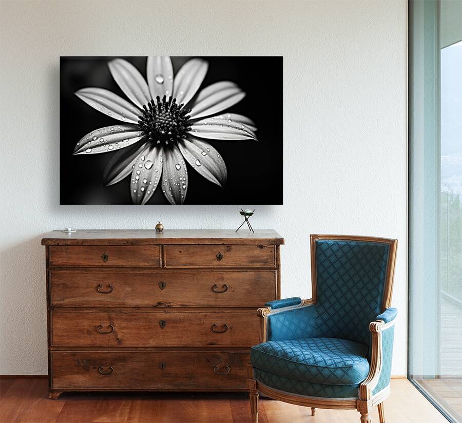 Shadow Petals – Monochrome Floral Elegance Print Reproduction