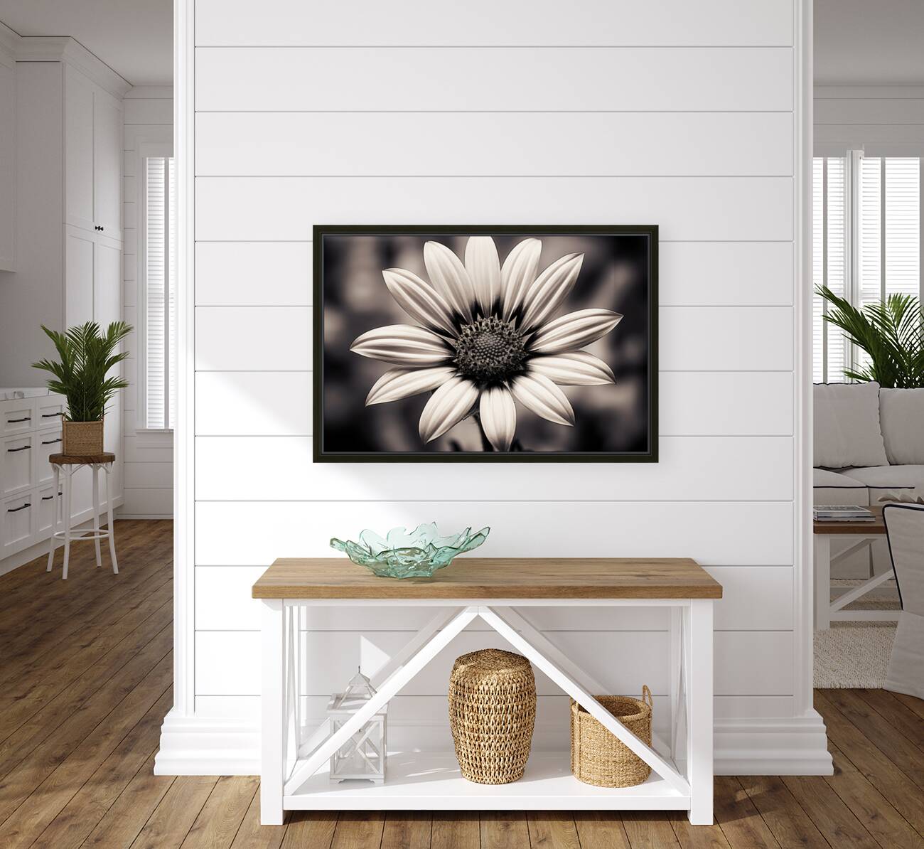Blind Eyed – Monochrome Daisy Macro Art Print Reproduction
