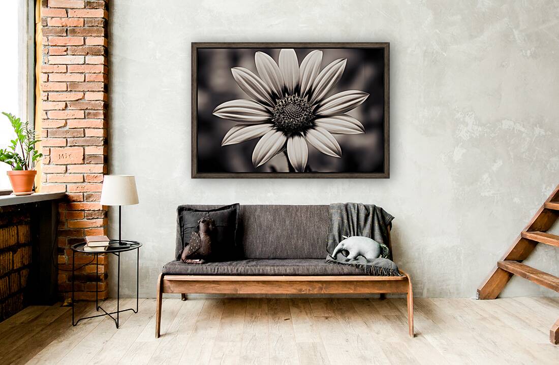 Opulent – Monochrome Daisy Medallion Art Print Reproduction