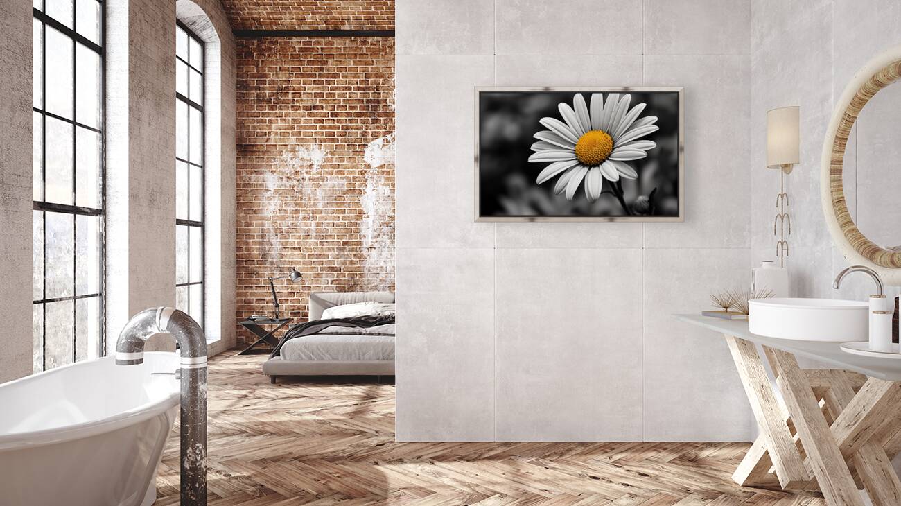 Serendipitous – Dew-Kissed Daisy Monochrome Art Print Reproduction