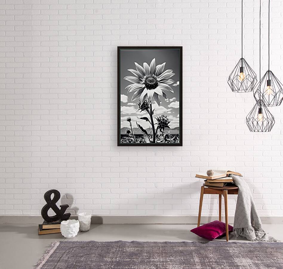 Vitamin D - Black & White Sunflower Art Print Reproduction