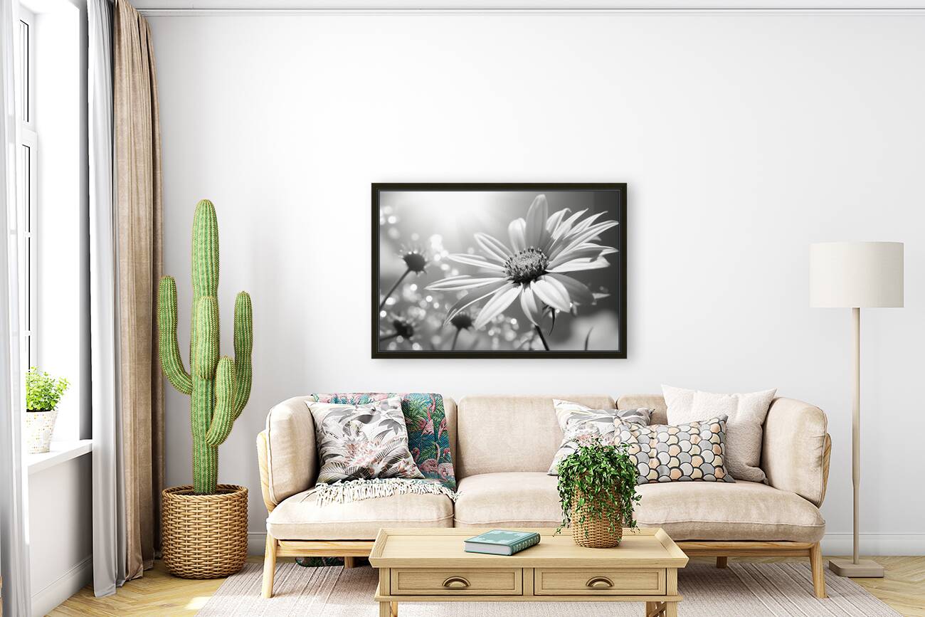 Whispers of the Sun – Minimal Daisy Art Print Reproduction