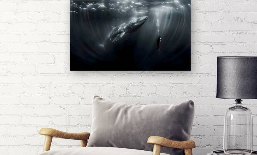 In the Presence of Majesty - Underwater Whale and Diver Art Prints by Savage Art Prints