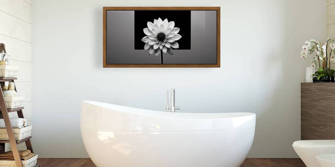 Solo - Minimal Floral Art Prints by Savage Art Prints