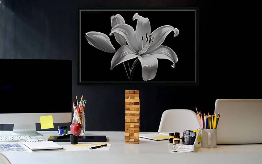 Lily Of The Light - Monochrome Lily Floral Art Prints by Savage Art Prints