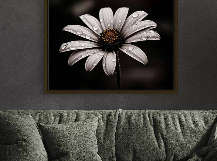 Petal Perspective 44 - Macro Floral Art Prints by Savage Art Prints