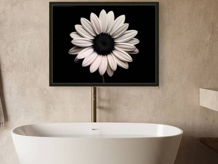 Petal Perspective 31 - Macro Floral Art Prints by Savage Art Prints