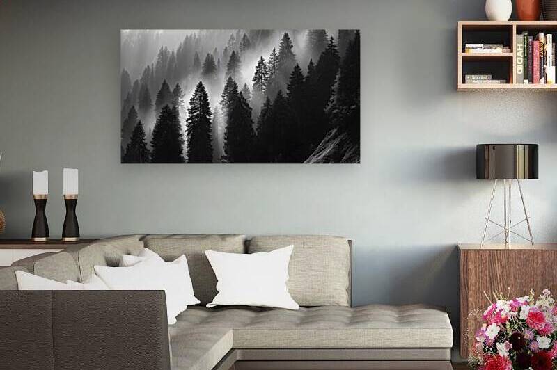 Misty Pine Hillside - Monochrome Landscape Art Prints by Savage Art Prints