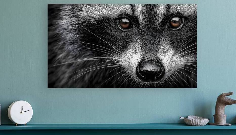 Bandit – Raccoon Portrait Art Print by Savage Art Prints