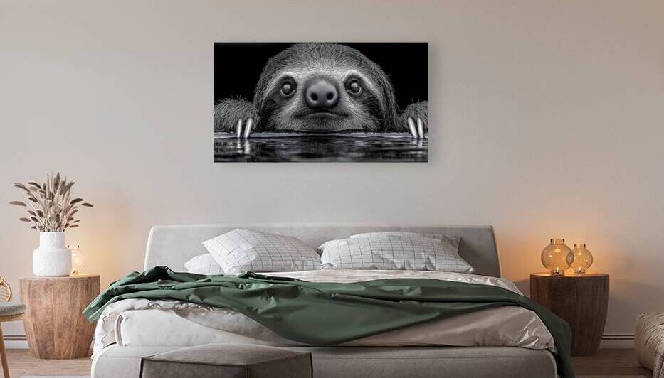 Sloth – Wildlife Portrait Art Print by Savage Art Prints