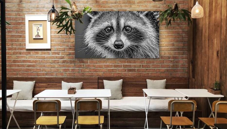 Masked Intentions – Raccoon Portrait Art Print by Savage Art Prints