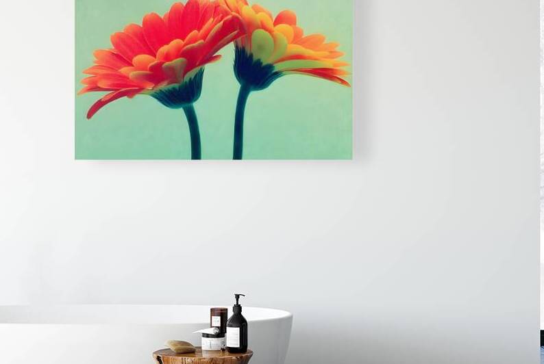 Sunlit Gerberas – Modern Botanical Art Print by Savage Art Prints
