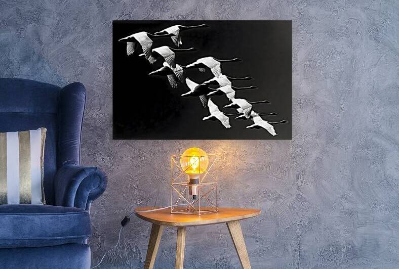 Flight Code – Geese Formation Print by Savage Art Prints