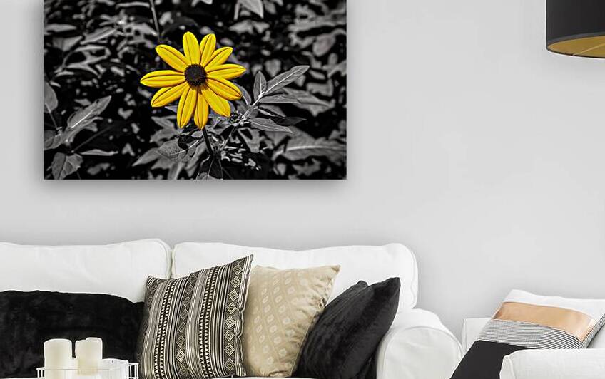 Golden Defiance – Yellow Flower in Monochrome Field Print by Savage Art Prints