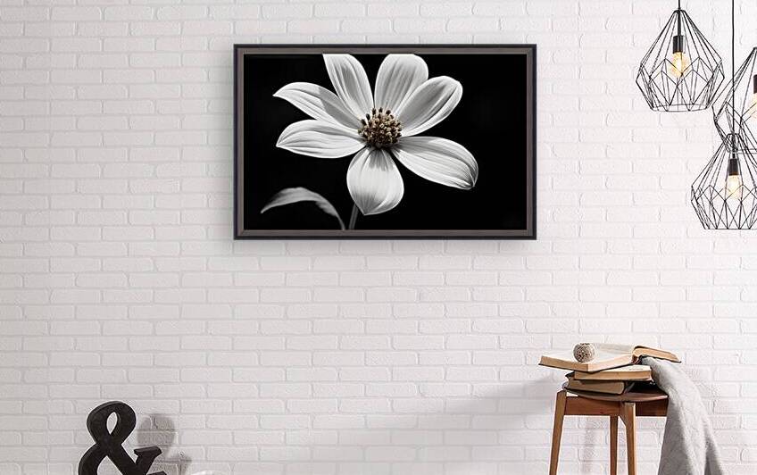 Eclipse Petal – Black and White Macro Flower Print by Savage Art Prints