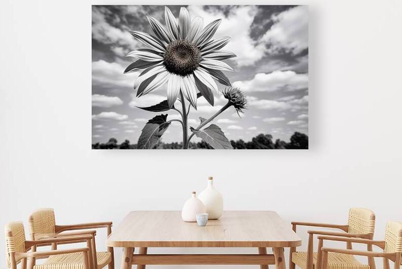 Skyward – Monochrome Sunflower Landscape Print by Savage Art Prints